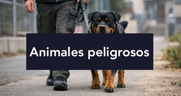 Permisos de portador de animales peligrosos en Guadalajara